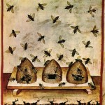 apiculture médiévale