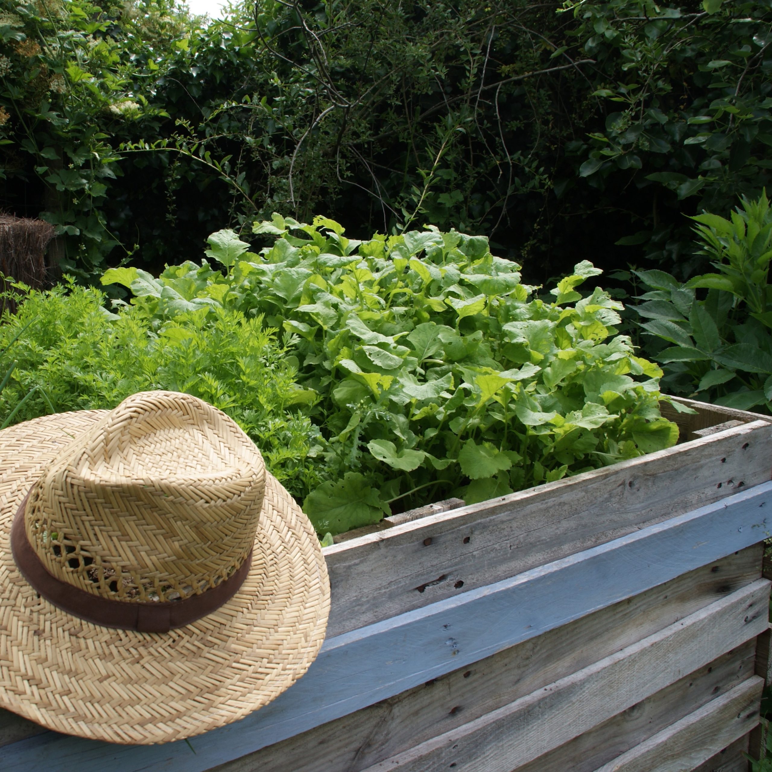 le chapeau du jardinier